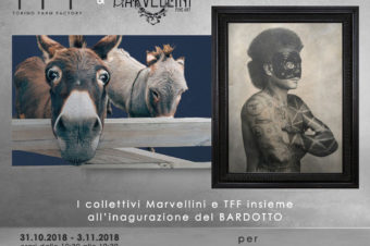 I collettivi Marvellini e TFF a Torino